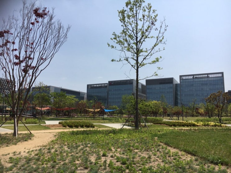  Crazy Office 소개 (직장생활,삶이 힘든 이들을 응원하며)