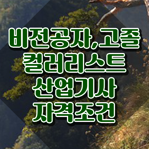  컬러리스트산업기사 시험과목 컬러리스트산업기사 응시조건 독학으로 1학기 만에 준비한 팁