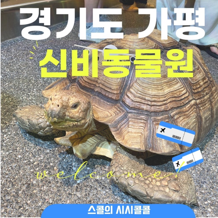 가평 놀거리️신비동물원️ 내돈내산 솔직리뷰!(입장료, 실내내부)