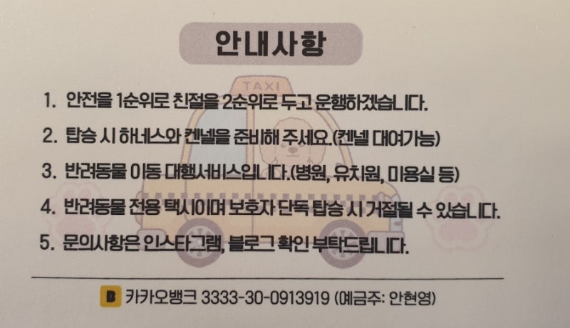 사진 5