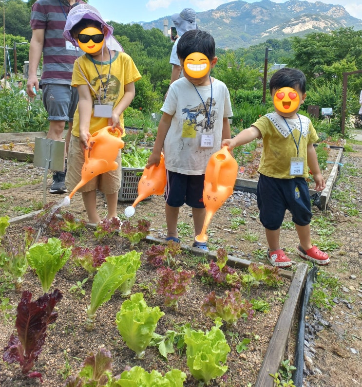  24년 꿈틀 어린이 텃밭 학교 봄 학기(4-6월) 참여 늦은 후기
