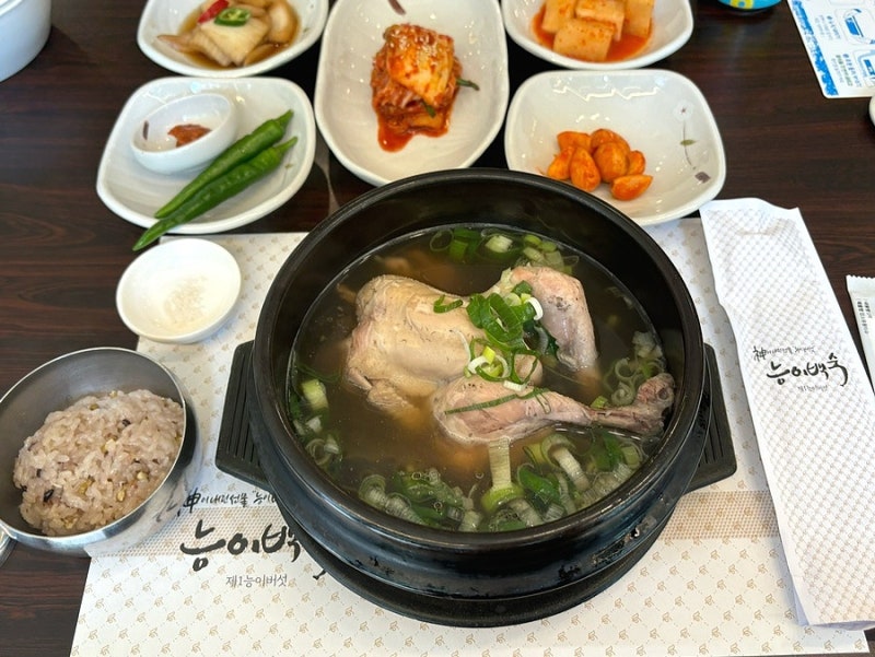 대구 삼계탕 맛집 성서 맛집 제1능이버섯 능이백숙 능계탕 후기