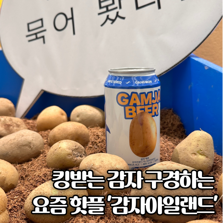  수원 타임빌라스 팝업 실내데이트코스 이색데이트 감자아일랜드 후기