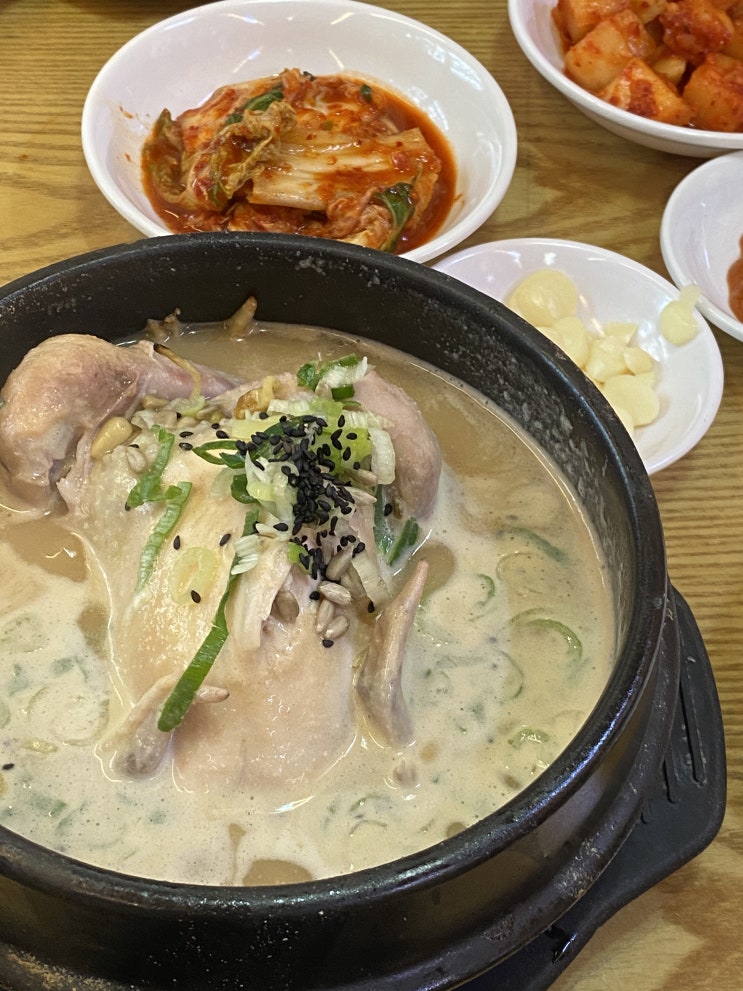  경복궁역 토속촌 삼계탕 : 국물이 맛있는 삼계탕 맛집
