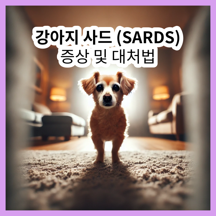  강아지 사드(SARDS) 증상, 이유 및 대처법