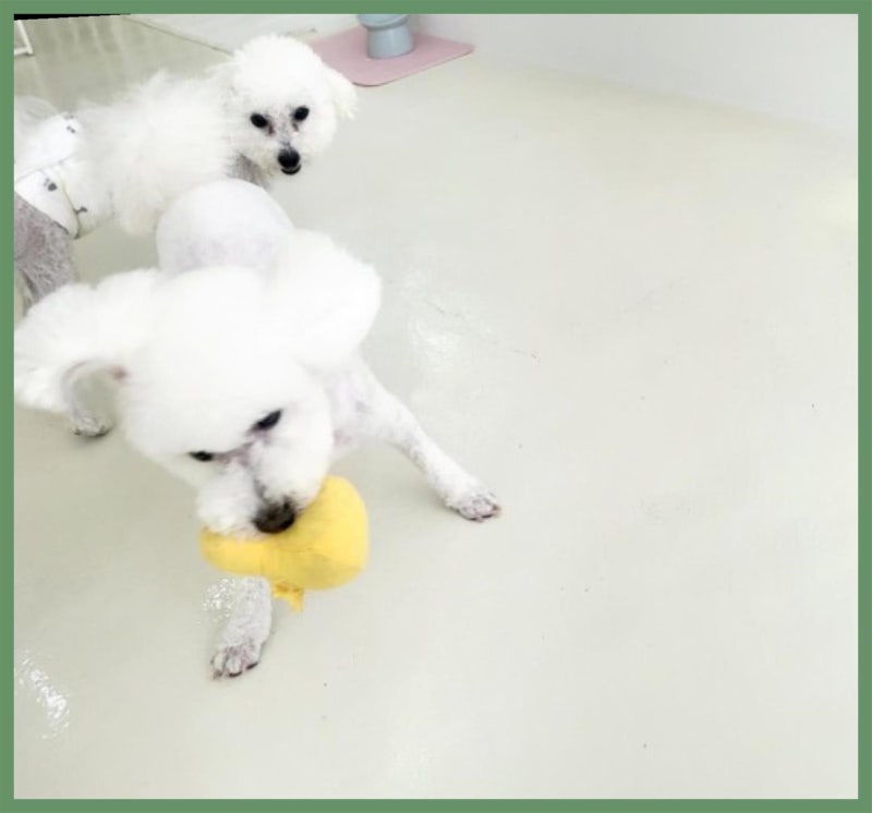 사진 10