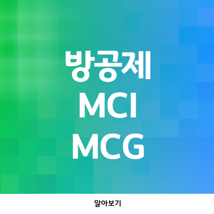  방공제로 주택담보대출의 대출 금액이 줄어든다? 방공제 뜻과 MCI, MCG