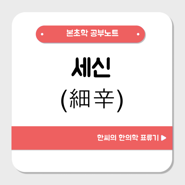  세신(細辛)의 효능을 파헤쳐보자 : 두통, 코막힘, 폐의 과도한 점액에 적합한 약재 (족도리풀)