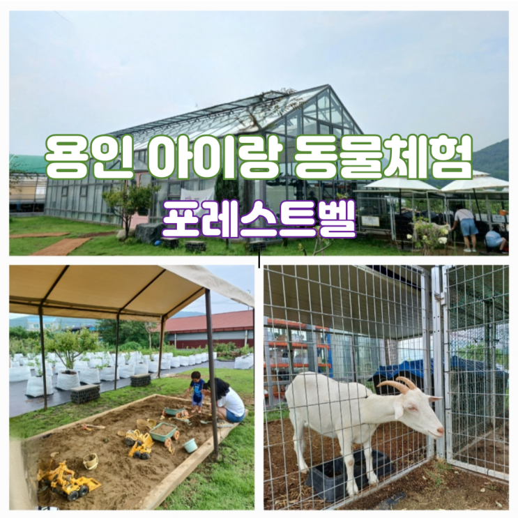 용인 아이랑 실내 가볼만한곳 동물체험 농장체험 포레스트벨 용인 아이랑 실내 가볼만한곳 동물체험 농장체험 포레스트벨
