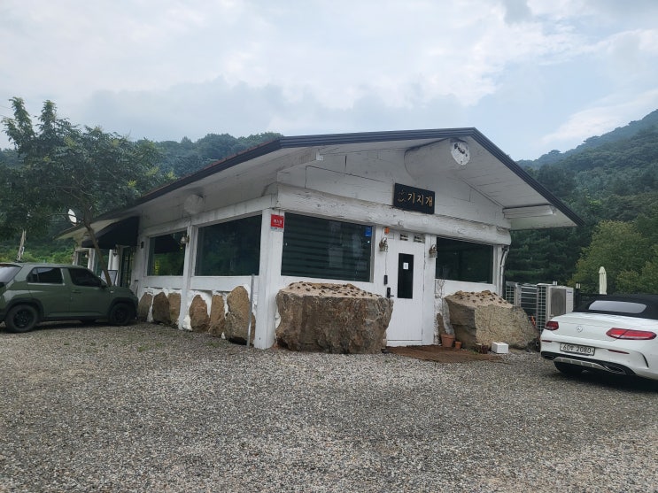  남양주애견카페/남양주애견운동장 기지개 재방문 후기