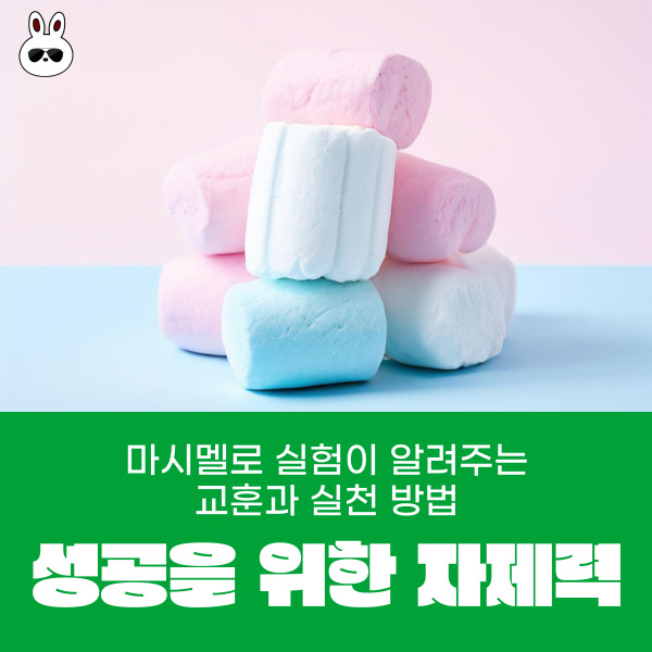  성공을 위한 자제력  마시멜로 실험