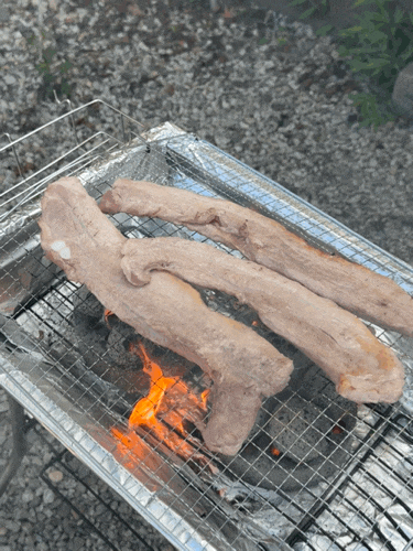  양주 애견동반 캠핑식당 데이트 솔직후기 [수풀림]