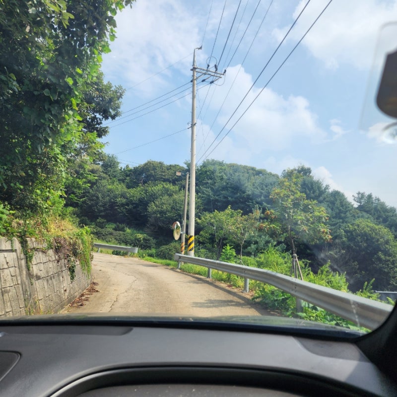 랩도그빌반려견전용캠핑장