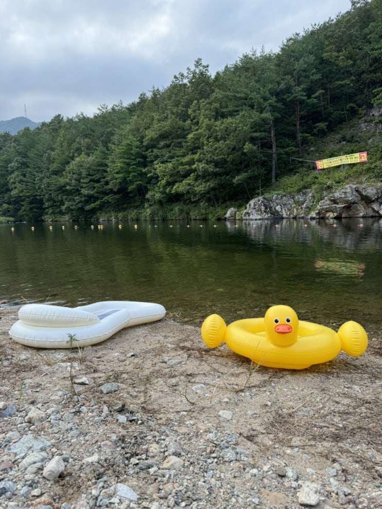  8월 속초+양양 1박2일 주말여행 먹고놀고먹고놀고