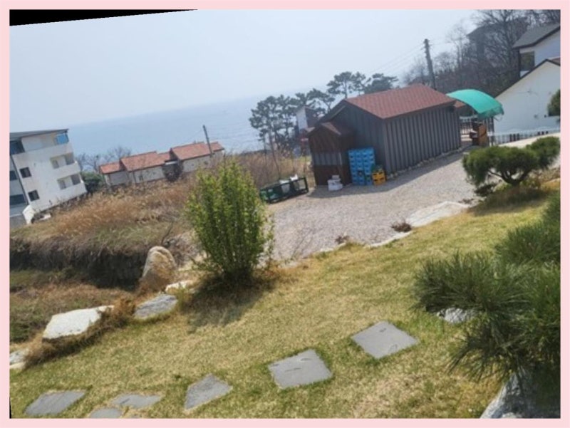 사진 4