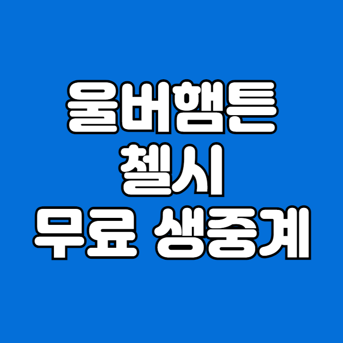 울버햄튼 <b>첼시</b> 중계 방송 울브스 대 <b>첼시</b> 홈 개막전 <b>황희찬</b>... 