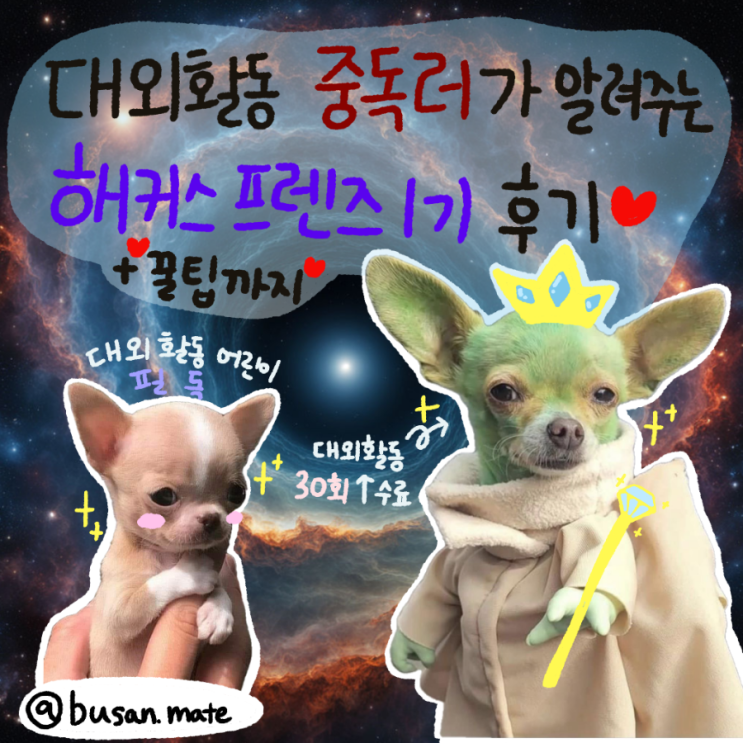  해커스 프렌즈 1기 활동후기 대외활동 추천