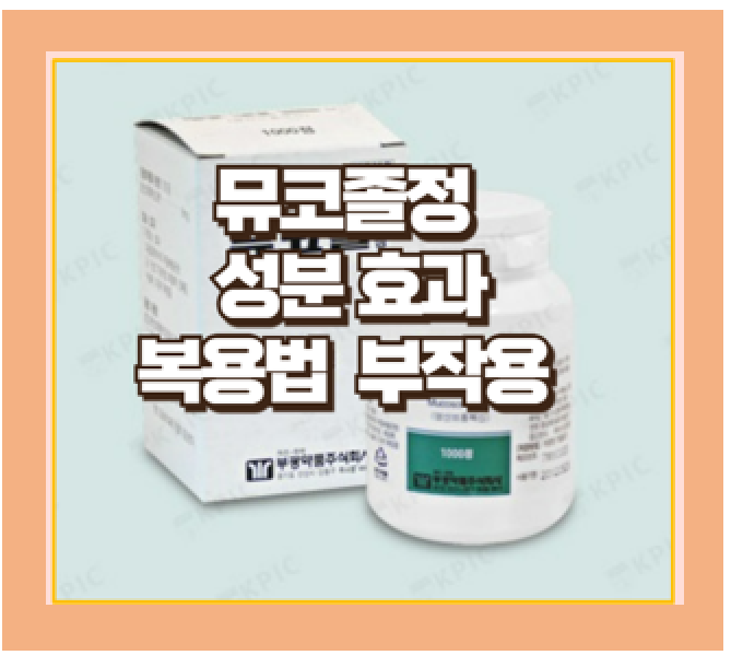  뮤코졸정 효능 및 복용법 가래 배출 호흡기 질환 효과 치료제 가이드