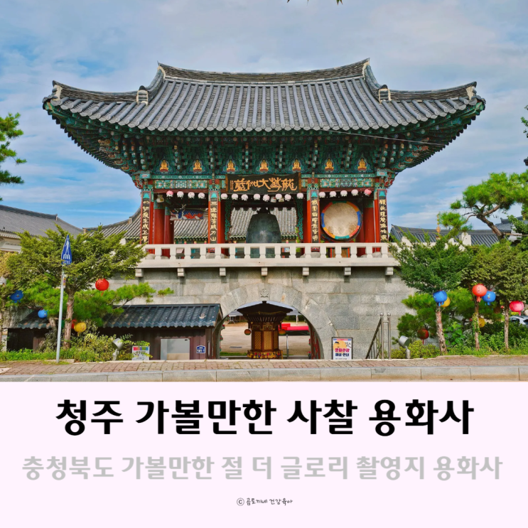 충청북도 가볼만한곳 청주여행 무심천 가볼만한절 용화사 충청북도 가볼만한곳 청주여행 무심천 가볼만한절 용화사