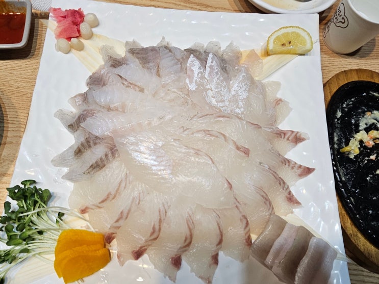  [광주/봉선동] 봉선동 횟집 도시어부