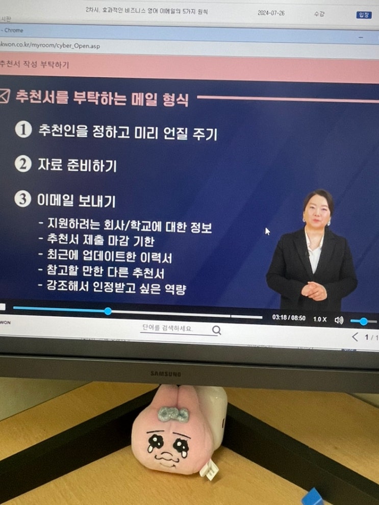  [영어 인강 추천] 실전 비즈니스 영어 이메일 완강 후기