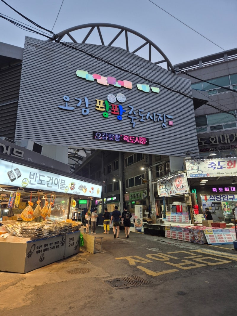 8월 가장 맛있는 제철 생선회    _ 포항 죽도 시장