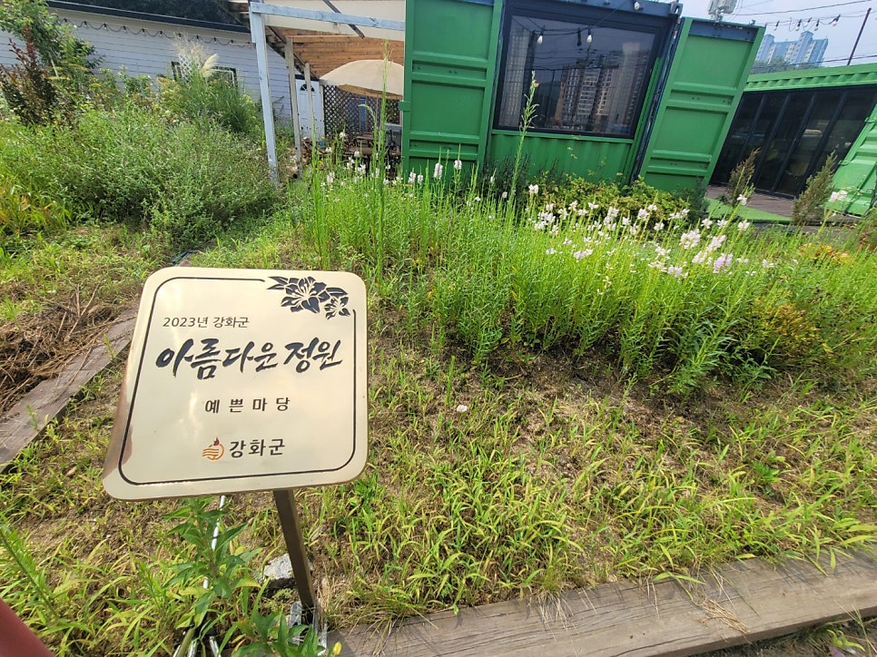 폴레폴레 사진 6