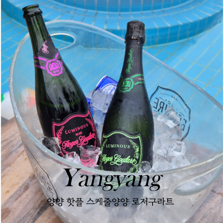  양양군 여행 인구해변 갈만한곳 스케줄양양 풀파티 와인 추천
