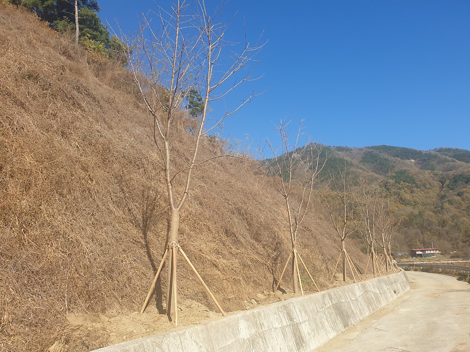 문무지 사진 5