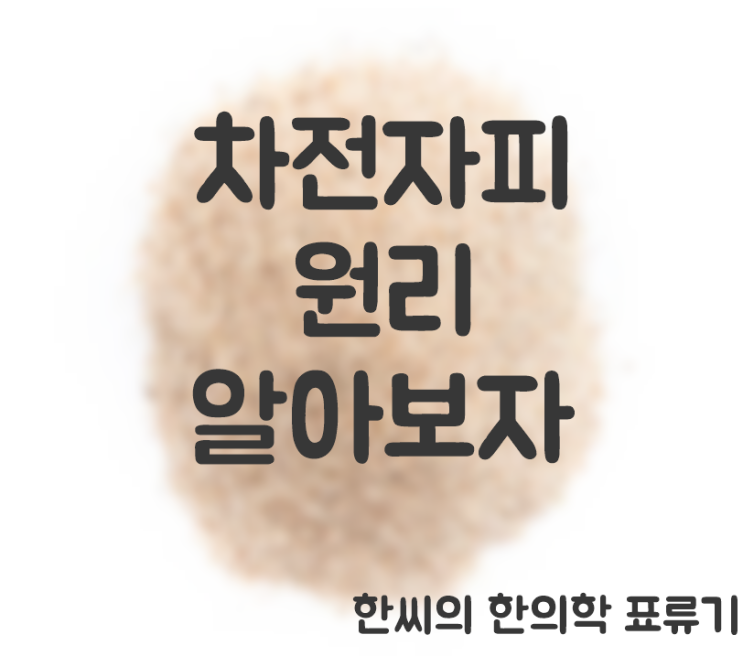  차전자피 효능의 원리 : 수용성 불용성 식이섬유, 혈중 콜레스테롤 감소