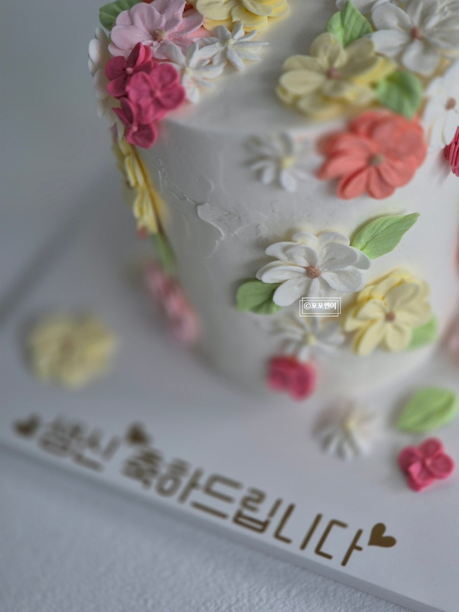 스위츠둘 사진 3