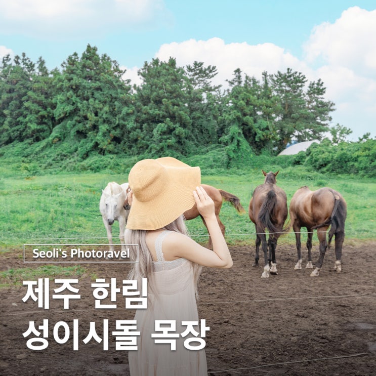  제주 한림 가볼만한곳 성이시돌목장 카페 주차 입장료