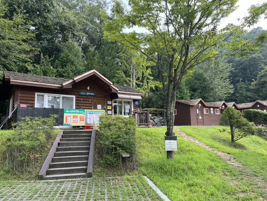 입화산자연휴양림 야영장 사진 3