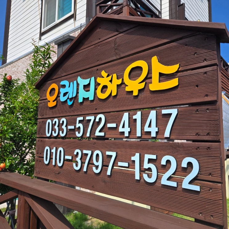  [오렌지하우스] 삼척 장호항 장호해변 인근 가성비 숙소 추천