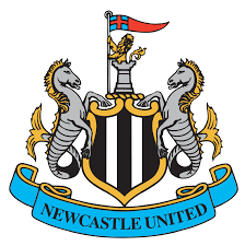 뉴캐슬 유나이티드 (Newcastle United) 2024-2025 시즌 분석