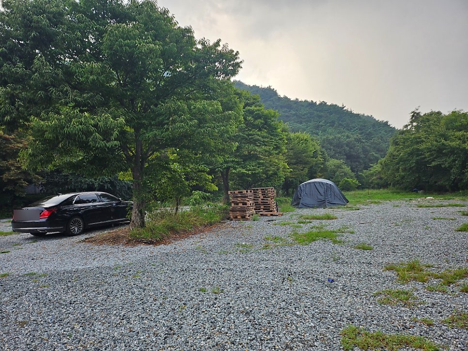 광덕산산삼휴게소 사진 3
