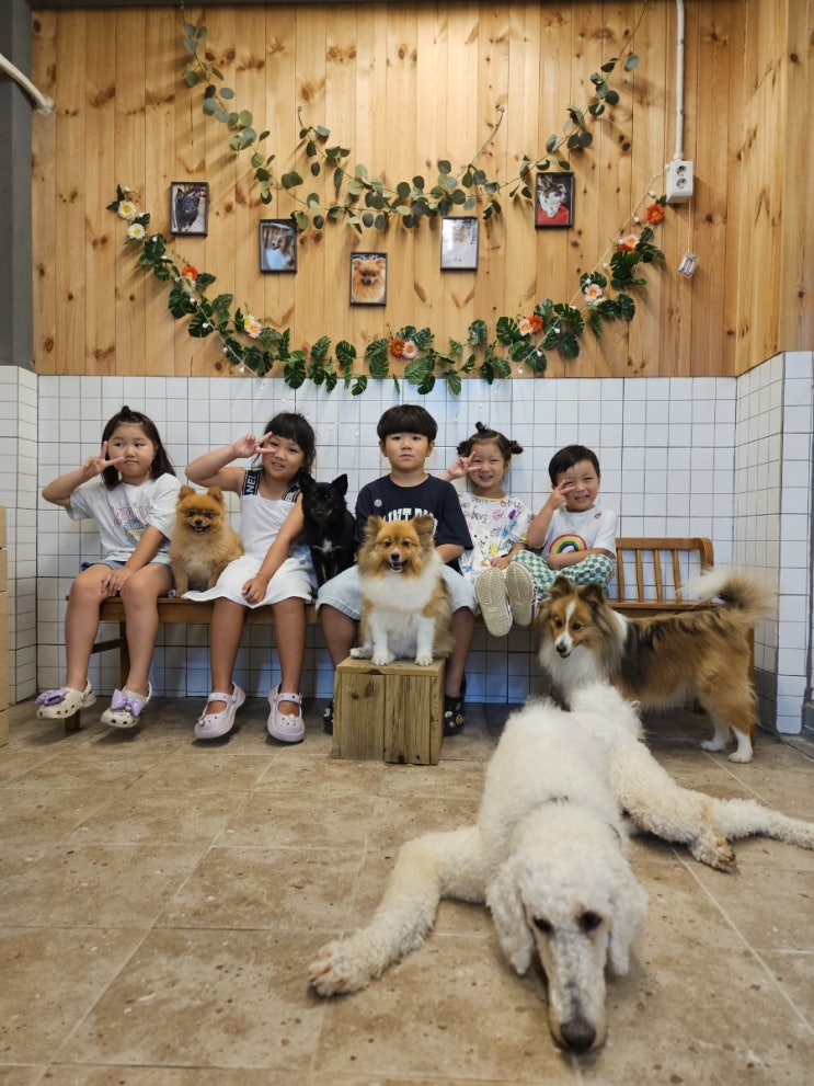  여주 아이랑 동믈체험 가능한 주주팜 다녀왔어요