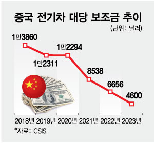 "중국 전기차는 보조금 덕"이라는 서방…얼마나 되길래 "중국 전기차는 보조금 덕"이라는 서방…얼마나 되길래