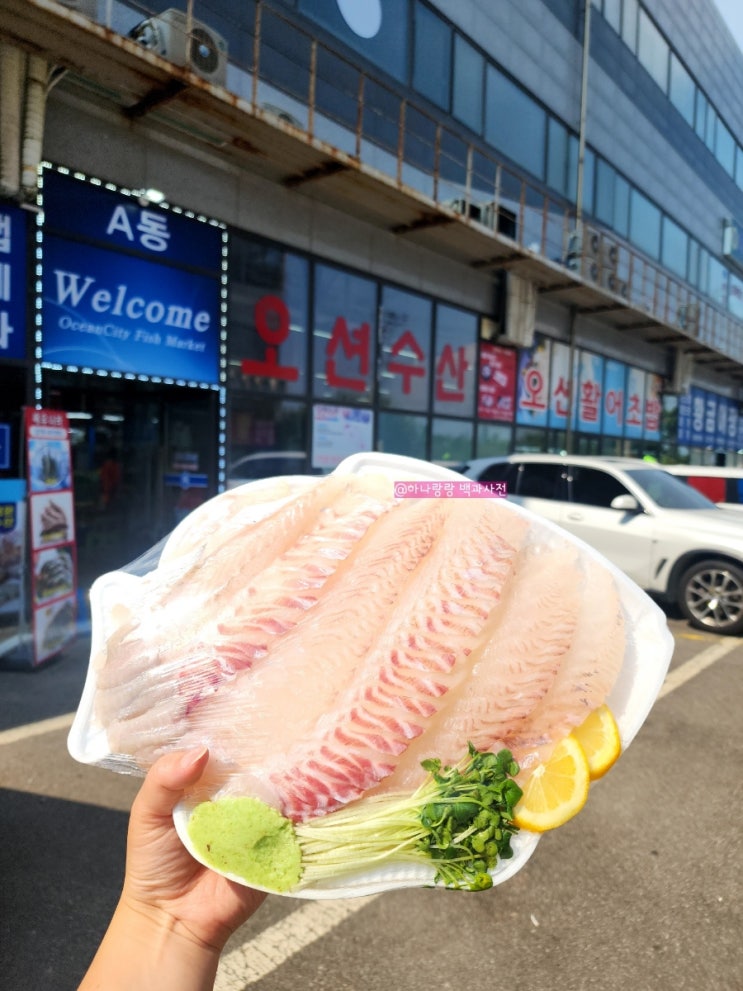  [경기 안산] 대부도 방아머리해수욕장 갓심비 대부도횟집 정은수산