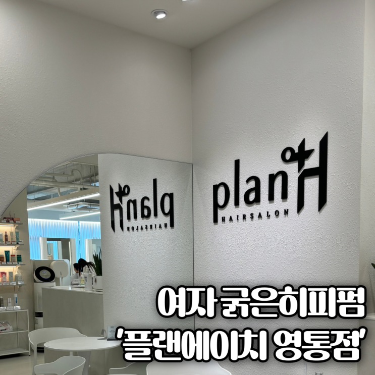  2024 수원 영통미용실 여자 머리 잘하는 곳 추천! 굵은히피펌, 컷트 "플랜에이치헤어"