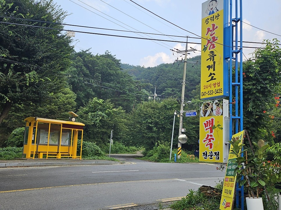 광덕산산삼휴게소 사진 6