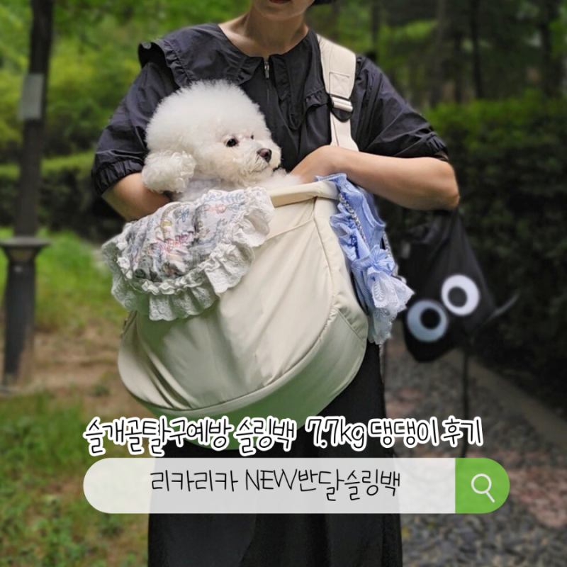 강아지 이동가방 리카리카 슬링백 7.7kg 댕댕이 찐후기