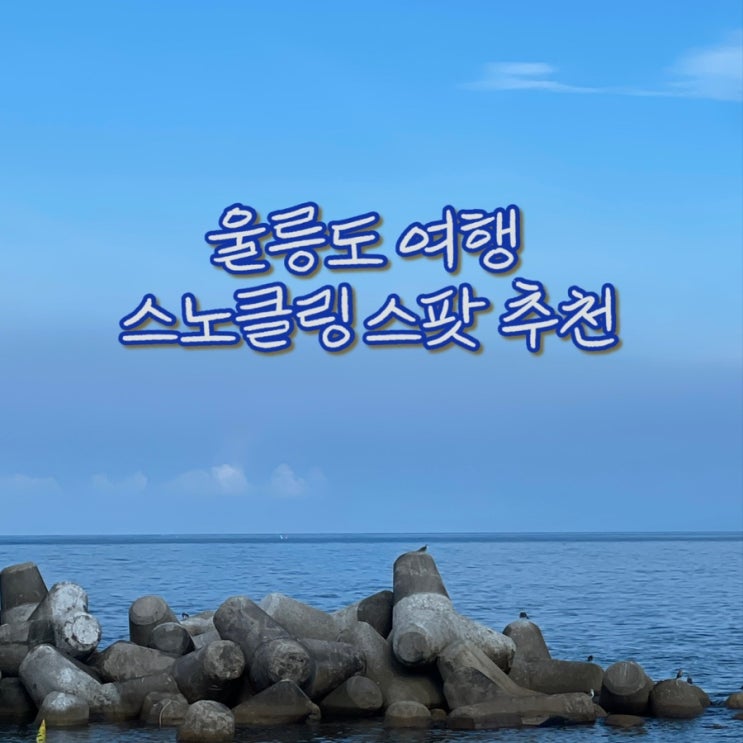  울릉도 여행 바다 수영 스노클링 스팟 추천