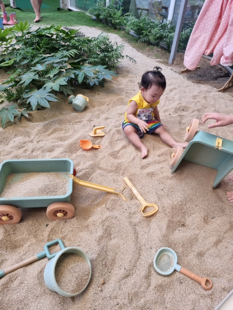  대구 동구 아이랑 가볼만한곳 - 티욤핑크 반야월점(내돈내산)