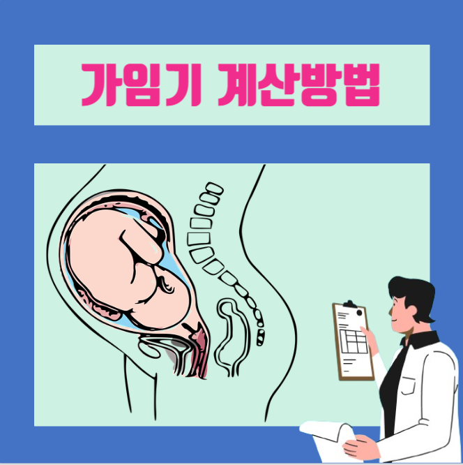 [이학박사] 가임기 계산