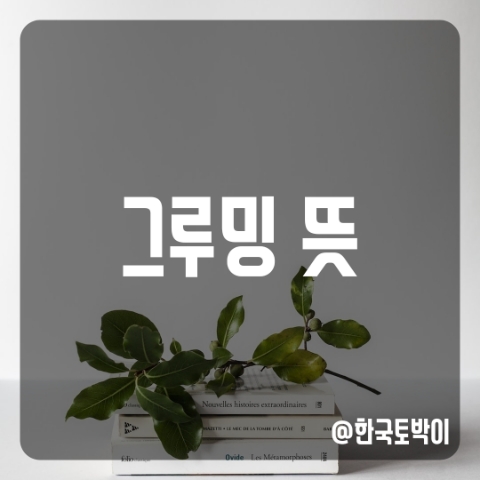  그루밍 뜻 (그루밍족, 온라인 그루밍 뜻)