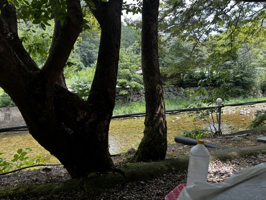석산계곡펜션 사진 4