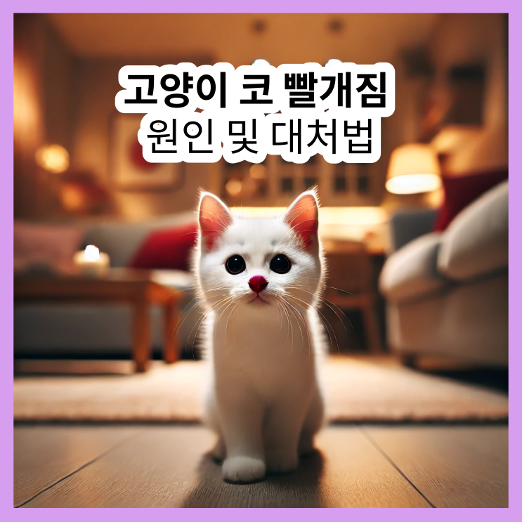  고양이 코 빨개짐 이유와 대처법