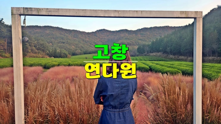 고창 숨은 가볼만한곳 선운사 카페 · 갈대 핑크뮬리 대형녹차밭 호수 뷰 카페 연다원 고창 숨은 가볼만한곳 선운사 카페 · 갈대 핑크뮬리 대형녹차밭 호수 뷰 카페 연다원