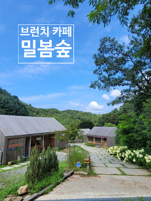  [강원도] 춘천 뷰맛집 브런치 카페 - 밀봄숲 (내돈내산 강추!!) / 춘천 명동 우미 닭갈비